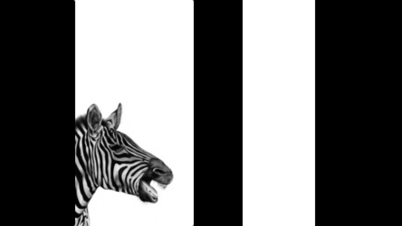 3D Imaging For 3D Printing By Zebra
